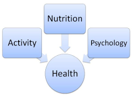 physical and mental training, nutrition and psychology are influencing health